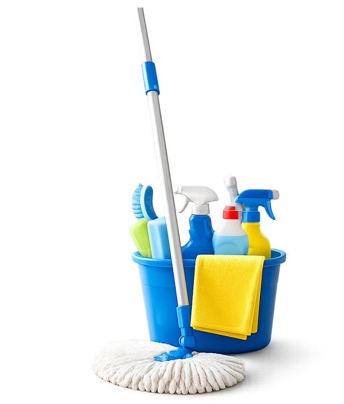 Cleaning company kingston