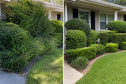 Well-maintained home landscape in Kingston after property maintenance